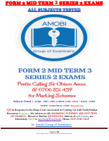 F2 MID T3 S2 EXAMS 0706 851 439.pdf